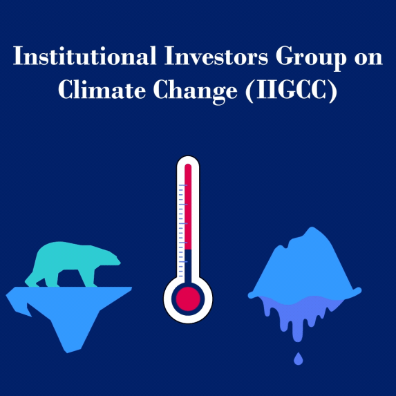Twitter - Institutional Investors Group on Climate Change (IIGCC)